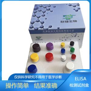 人尿酸酶(Uricase)elisa试剂盒 产品图片