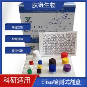 人基质金属蛋白酶14(MMP-14)elisa试剂盒 产品图片