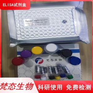 猴α干擾素(IFN-α)elisa檢測試劑盒