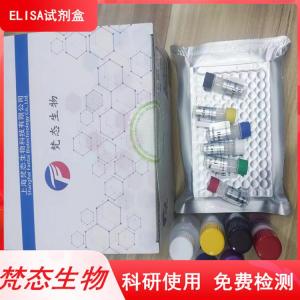 猴雌二醇(E2)elisa检测试剂盒