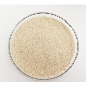 洋车前子壳粉供应 斯诺特生物一公斤打样 膨胀代餐粉