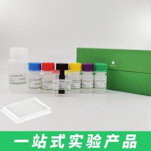 小鼠氧磷酯酶1(PON1)检测试剂盒