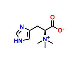 L-组氨酸甜菜碱 CAS号:534-30-5科研专用 常备现货 高校及研究所 先发后付