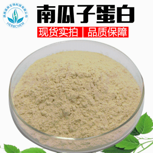 南瓜子蛋白60% 批发水溶性南瓜子粉原料水解南瓜籽蛋白粉