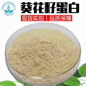 葵花籽蛋白60%现货批发当天发货食品级原料水溶性葵花子蛋白粉