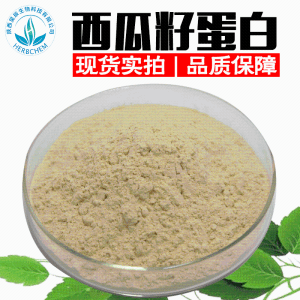 西瓜籽蛋白60% 西瓜籽提取物 现货供应 西瓜籽蛋白粉
