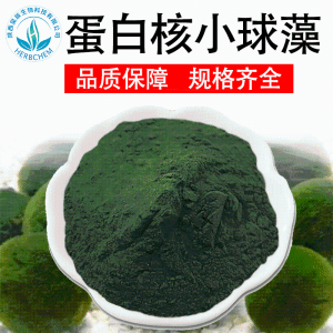 蛋白核小球藻99% 小球藻粉 破壁小球藻粉 现货包邮 支持检测