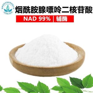 烟酰胺腺嘌呤二核苷酸 NAD99%100g辅酶NAD β-烟酰胺腺嘌呤二核苷酸