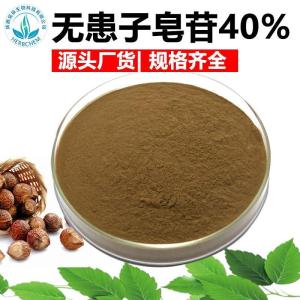 无患子皂苷40%无患子提取物无患子皂甙Soapnut Extrac另有70%规格