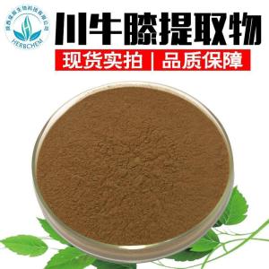 川牛膝提取物30:1 现货现货包邮 牛膝提取物怀牛膝粉