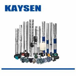 进口潜油电泵-进口深井泵-德国KAYSEN泵业