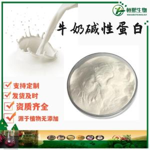 牛奶碱性蛋白粉 食品级牛奶提取物 85% 90% 98% 鲜牛乳浓缩提纯碱性蛋白