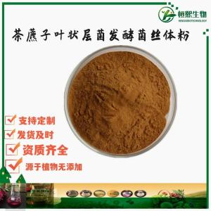茶藨子叶状层菌发酵菌丝体粉 茶藨子叶状层菌发酵菌丝体提取物 金银花菌提取物