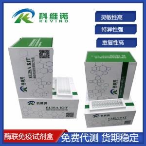 小鼠）丝氨酸（Ser）ELISA检测试剂盒 产品图片