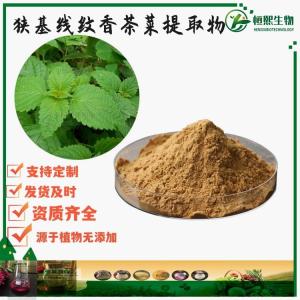 狭基线纹香茶菜粉 狭基线纹香茶菜提取物