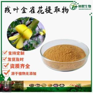 线叶金雀花提取物 食品级 金雀花提取物 水溶性线叶金雀花粉