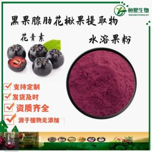 黑果腺肋花楸果提取物 黑果腺肋花楸果粉99%花青素  野樱莓果粉