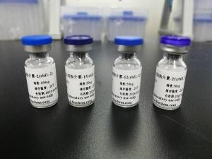 Cas14a蛋白检测系统用荧光双标记探针上海惠诚生物供应