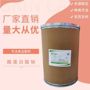 食品級酪蛋白酸鈉食品添加劑現(xiàn)貨