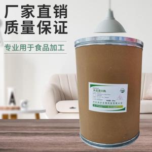 （木瓜蛋白酶）现货供应 木瓜蛋白酶现货批发