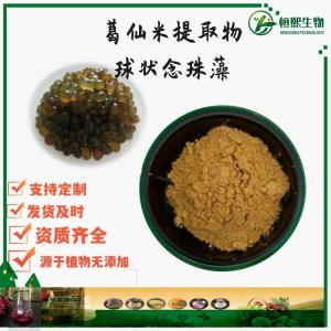葛仙米提取物 球状念珠藻粉 葛仙米粉