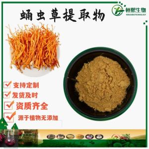 蛹虫草提取物 食品级 虫草素 蛹虫草粉 蛹虫草多糖 北虫草提取物