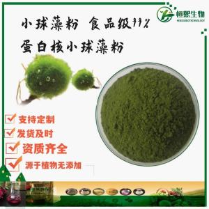 小球藻粉 小球藻提取物 破壁小球藻粉 绿藻粉 蛋白核小球藻粉