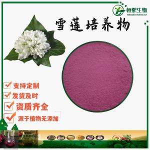 雪莲培养物99% 小分子天山雪莲花提取物