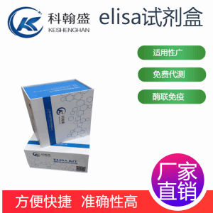 胰高血糖素样肽1(GLP1)酶联免疫吸附测定试剂盒 产品图片