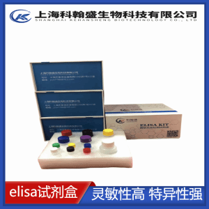 Ⅰ型前胶原氨基端原肽(PINP)酶联免疫吸附测定试剂盒 产品图片