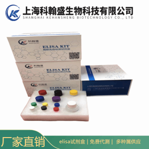 尿苷三磷酸(UTP)酶联免疫吸附测定试剂盒 产品图片