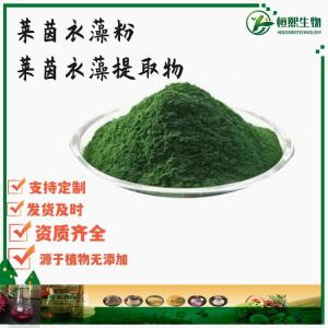 莱茵衣藻粉 食品级莱茵衣藻提取物