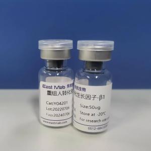 重组人转化生长因子(rhTGFβ1)