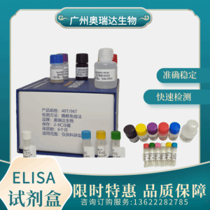 小鼠穿孔素（PF）ELISA检测试剂盒