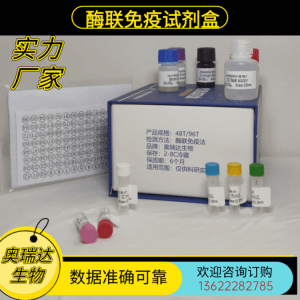 小鼠 S-腺苷同型半胱氨酸（SAH） ELISA检测试剂盒