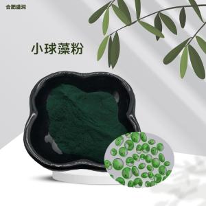 食品级小球藻粉