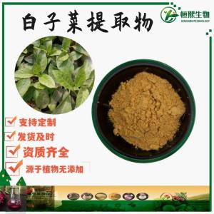白子菜提取物 水溶白子菜粉 白背三七提取物