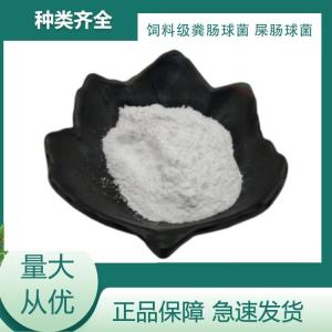 供应饲料级粪肠球菌 产品图片