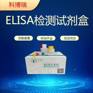 人末端补体复合体C5b-9(C5b-9)elisa试剂盒