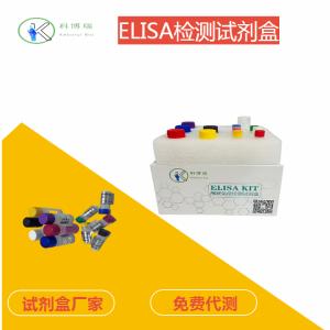 大鼠(Rat)表皮生长因子(EGF)ELISA检测试剂盒说明书 产品图片