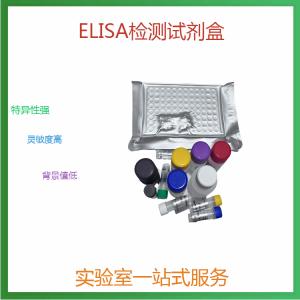 人羧肽酶A2(CPA2)elisa试剂盒 产品图片