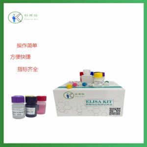卡那霉素(Kanamycin)ELISA试剂盒 产品图片