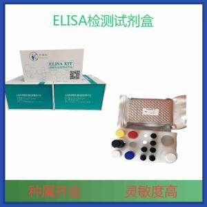 人成纤维细胞生长因子17(FGF17)elisa试剂盒