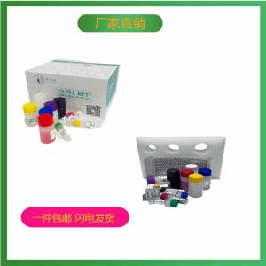 人氨酰tRNA合成酶复合多功能相互作用蛋白1(AIMP1)elisa试剂盒