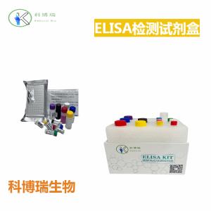 小鼠(Mouse)乳酸脱氢酶(LDH)ELISA检测试剂盒 产品图片
