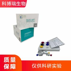 人(Human)三磷酸鸟苷(GTP)ELISA检测试剂盒 产品图片