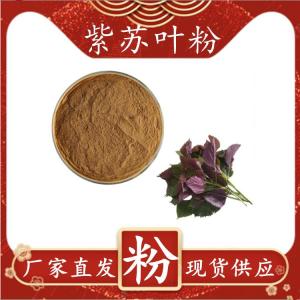 紫苏叶提取物 斯诺特生物定制紫苏叶粉多规格比例浓缩