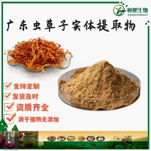 广东虫草子实体提取物 虫草子实体粉 虫草子实体提取物 广东虫草子实体粉 新资源食品