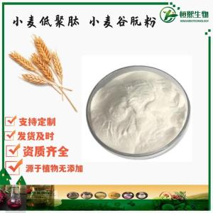 小麦肽 98% 小麦低聚肽粉 小麦蛋白肽 小麦胚芽肽 食品级水解小麦蛋白粉80%