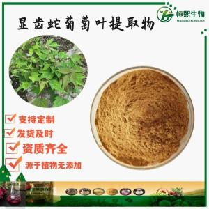 显齿蛇葡萄叶提取物 葡萄叶提取物 显齿蛇葡萄藤提取物